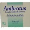 Ambrotus Nebulizzatore 15 mg/2 ml 10 fiale