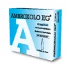 Ambroxolo EG Soluzione da Nebulizzare 15 mg/ 2 ml 10 Fiale