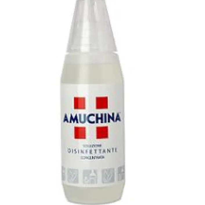 Amuchina Soluzione Disinfettante 500 ml