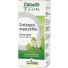 Boiron Crataegus Oxyacanthia 1DH Macerato Glicerinato 60 ml - Medicinale Omeopatico