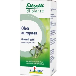 Boiron Olea Europaea Macerato Glicerinato 60 ml - Medicinale Omeopatico