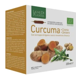 Curcuma Cicoria e Zenzero Bio 15 Ampolle - Integratore Alimentare