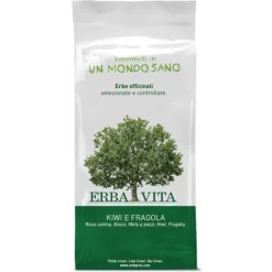 Erba Vita Fruit Tea Kiwi/Fragola Infuso 100 grammi