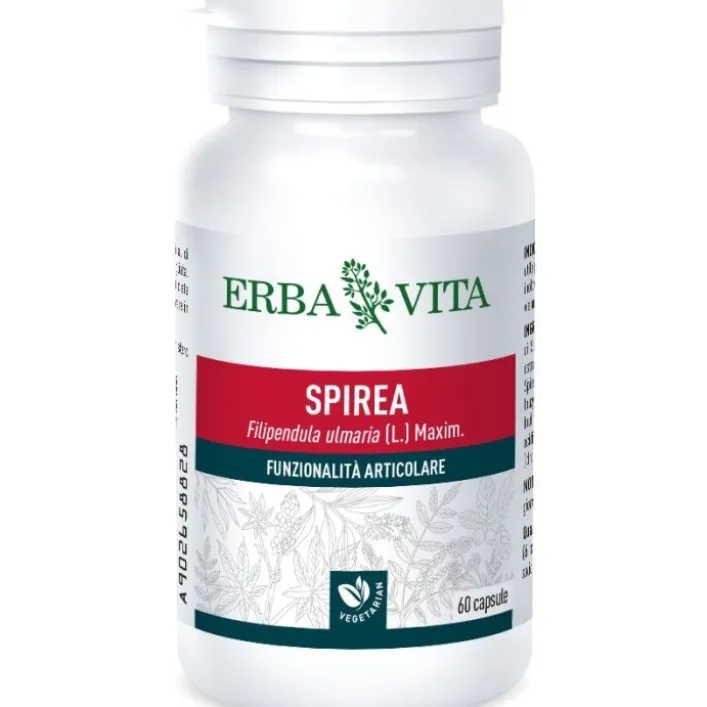 Erba Vita Spirea 60 capsule - Integratore Funzionalità Articolare