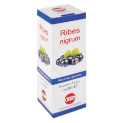 Kos Ribes Nigrum Macerato Glicerinato Gocce 100 ml - Integratore Alimentare