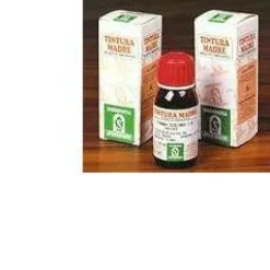 Specchiasol Camomilla Castano D'India 52 Tintura Madre 50 ml