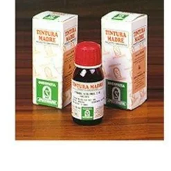Specchiasol Damiana 29 Tintura Madre 50 ml