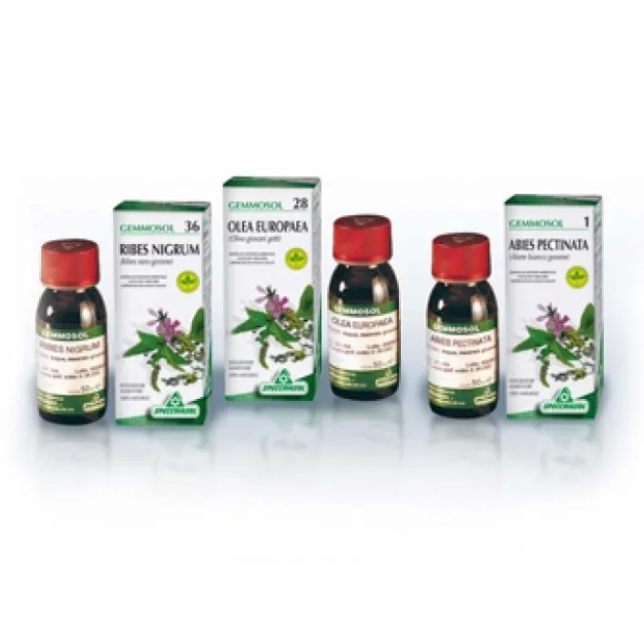 Specchiasol Gemmosol 24 Fico 50 ml