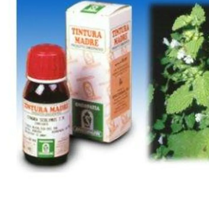 Specchiasol Melissa 17 Soluzione Idroalcolica 50 ml