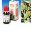 Specchiasol Soluzione Idroalcolica 1 Bandana 50 ml