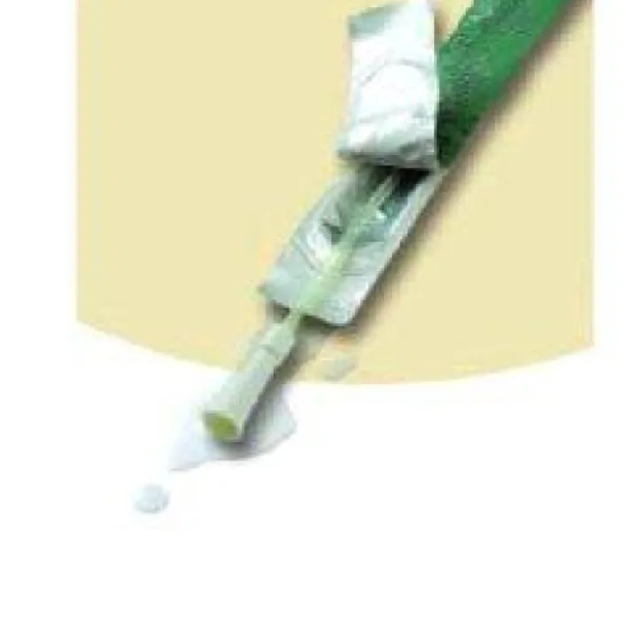 Speedicath Catetere Nelaton Vescicale Autolubrificante Uomo CH12 30 Pezzi