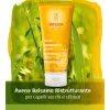 Weleda Avena Balsamo Ristrutturante Capelli Secchi e Danneggiati 200 ml